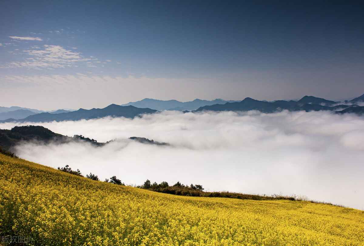 奥仁格管道：安徽50大重点项目工程清单重磅揭晓