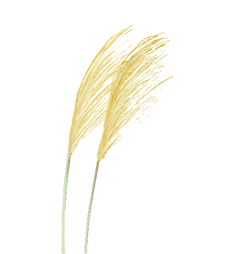 宁夏钢铁辉煌史：从第一炉钢到创新巅峰