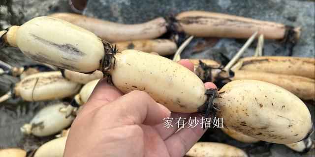 电力管9孔 90%的人都买错！莲藕“7孔”和“9孔”差别巨大，弄懂再下锅