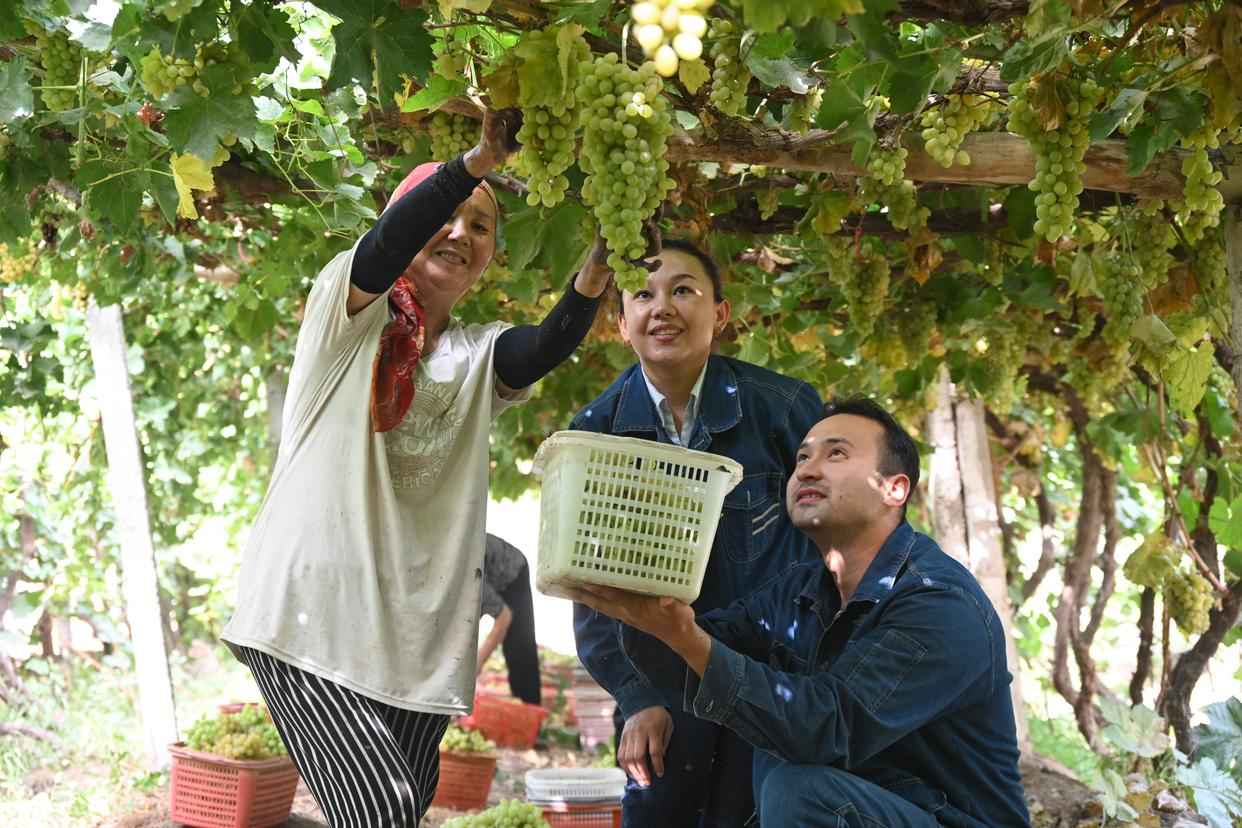 吐鲁番电力管生产:电力血管通田间,智慧灌溉助升级 吐鲁番电力管生产:电力血管通田间,智慧灌溉助升级