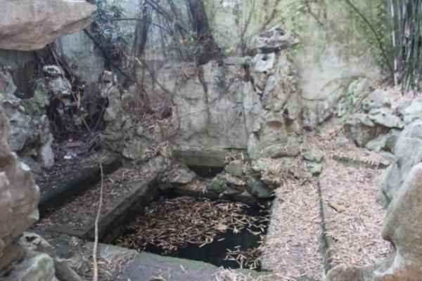 探索无锡古井：每一口井都是历史的活化石