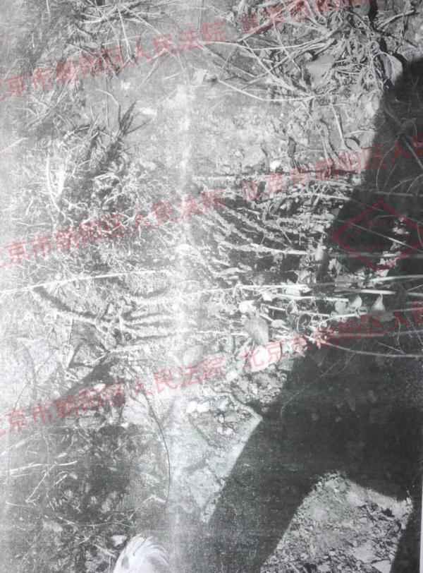 奥仁格管道安全警示：高压垂钓事故全解析