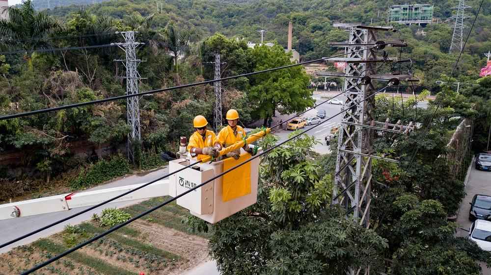 南安市供电公司总经理陈海龙：强化责任担当 筑牢安全基础