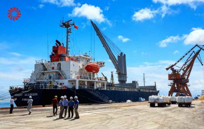 国家能源集团连江港电携手元颐电力,创新共建国内首条50万吨级生物质碳化产线 国家能源集团连江港电携手元颐电力,创新共建国内首条50万吨级生物质碳化产线