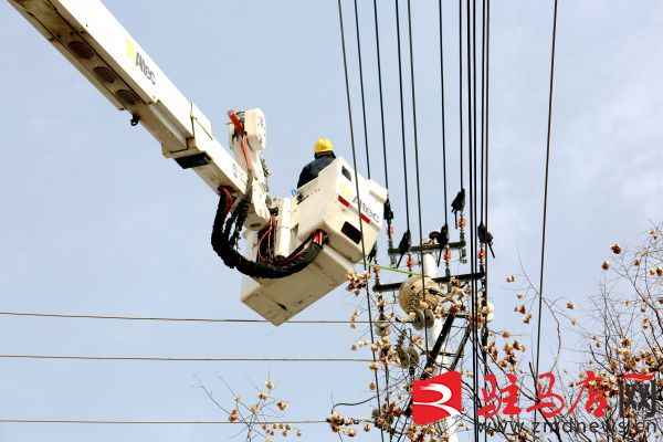 电力蜂窝管16孔：国网泌阳县供电公司消除蜂窝隐患，保障供电安全